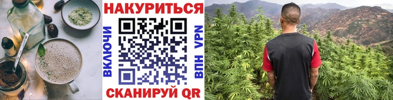 сколько стоит  Новое Девяткино  Cannafood конопля 