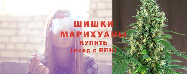 ПСИЛОЦИБИНОВЫЕ ГРИБЫ Верхнеуральск