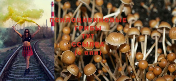 дживик Верея