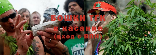 ПСИЛОЦИБИНОВЫЕ ГРИБЫ Верхнеуральск