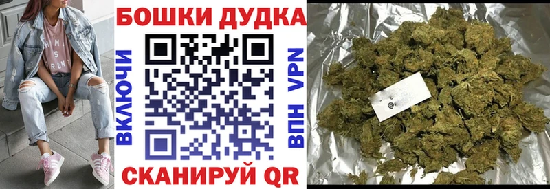 Шишки марихуана конопля  где можно купить наркотик  Новое Девяткино 